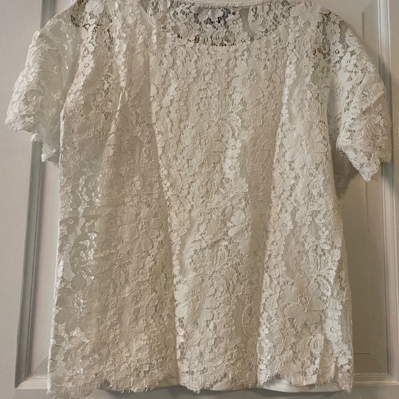 Lace T shirt with attached camisole - Picture 5 of 5
